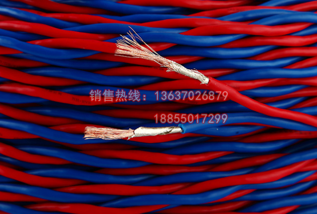 低煙無鹵電纜WDZN-RYJS-2*1.5