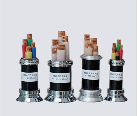 17098031302645.png WDZA.png